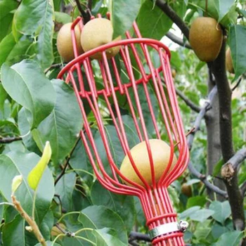 Kültéri gyümölcsszedő gép Szedő markolat eszköz Praktikus gyümölcsszedő gép Kertészeti szerszám