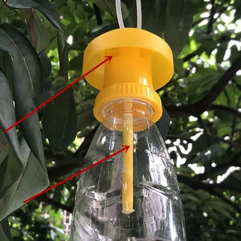 Gyümölcslégy csapda gyilkos műanyag sárga Drosophila csapda légyfogó kártevő rovarirtás otthoni mezőgazdasági gyümölcsös 6*6cm