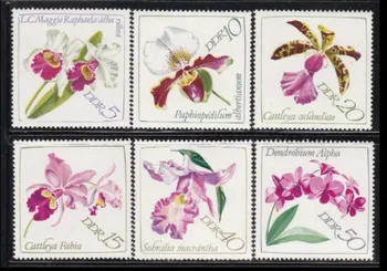 6 PCS, DDR, 1968, Virágok és növények, Valódi eredeti postabélyegek, MNH