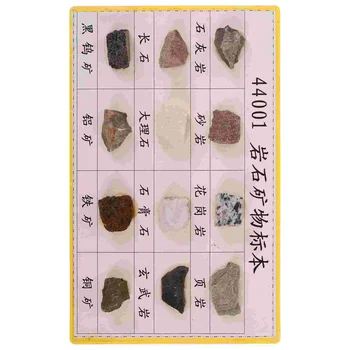 12 db A kőzetminta biológiai kísérleti példányokat állított be általános és középiskolák számára