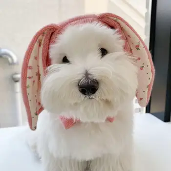 Kutya nyak fülmelegítő Hangulatos kisállat kötött kalap aranyos nyúlfülekkel Tartsa melegen kedvencét őszi tél ezzel a macskáknak készült díszfotóval