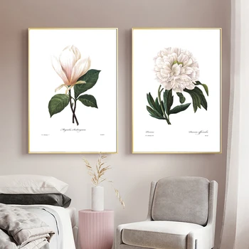 Rózsaszín fehér növények Virágplakátok és nyomatok Redoute botanikai vászon festés Fali művészet képek Nappali lakberendezés