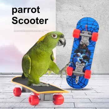 Kisállat játék rugalmas kerék Mini gördeszka papagáj játék Budgies papagájoknak Szórakoztató madárképzési kiegészítők Növekedési kisállat játék kellékek